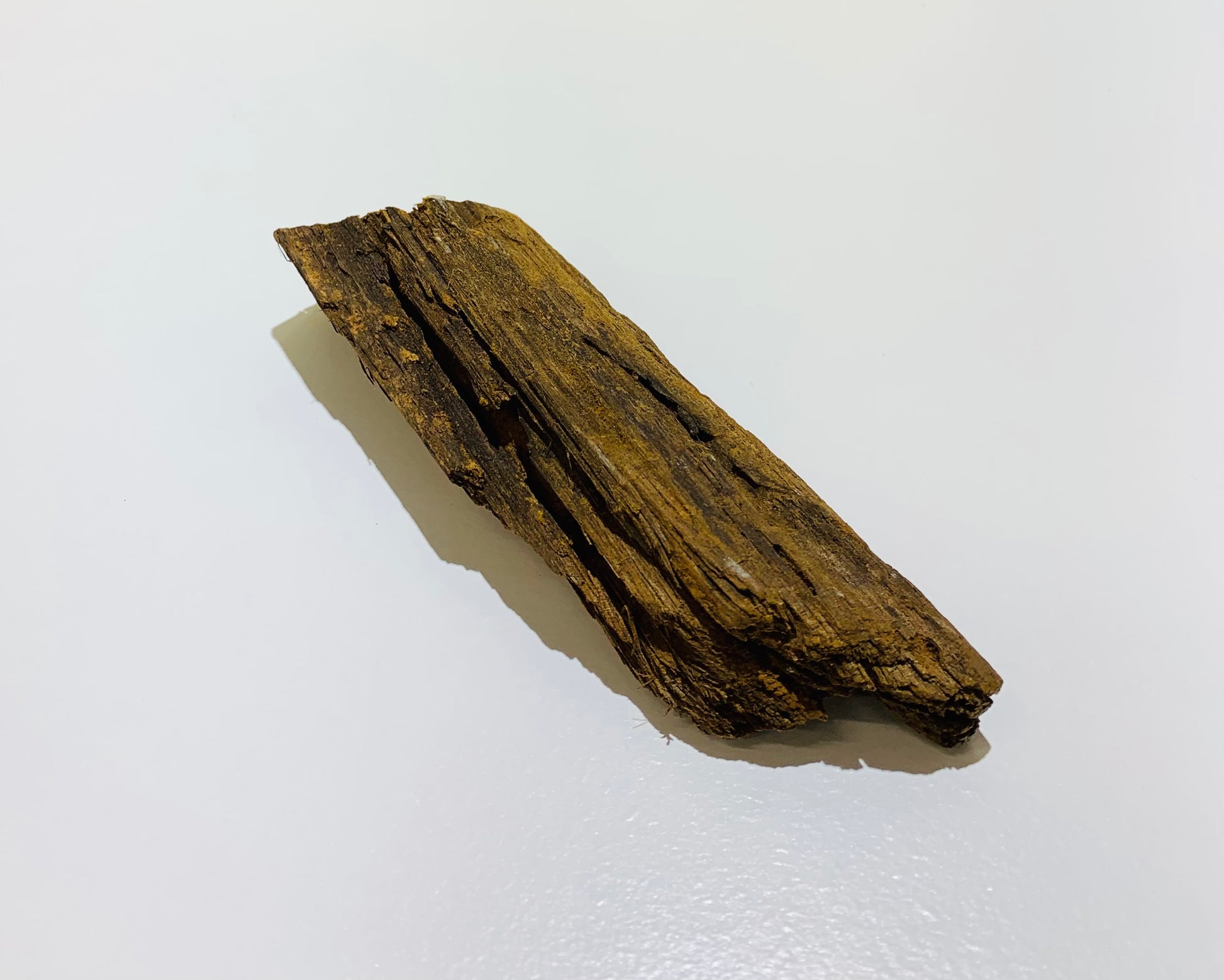 malaysian driftwood