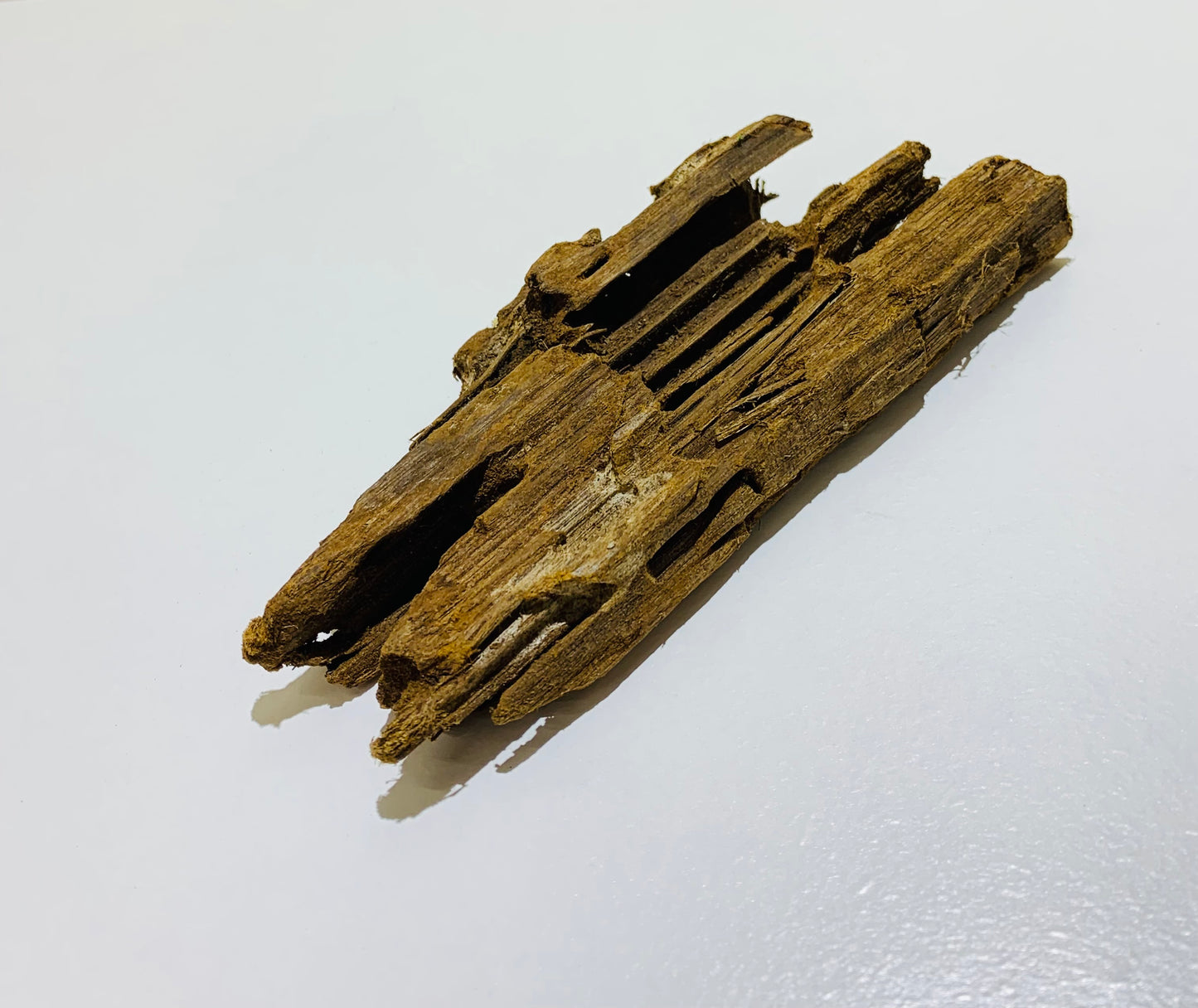 malaysian driftwood