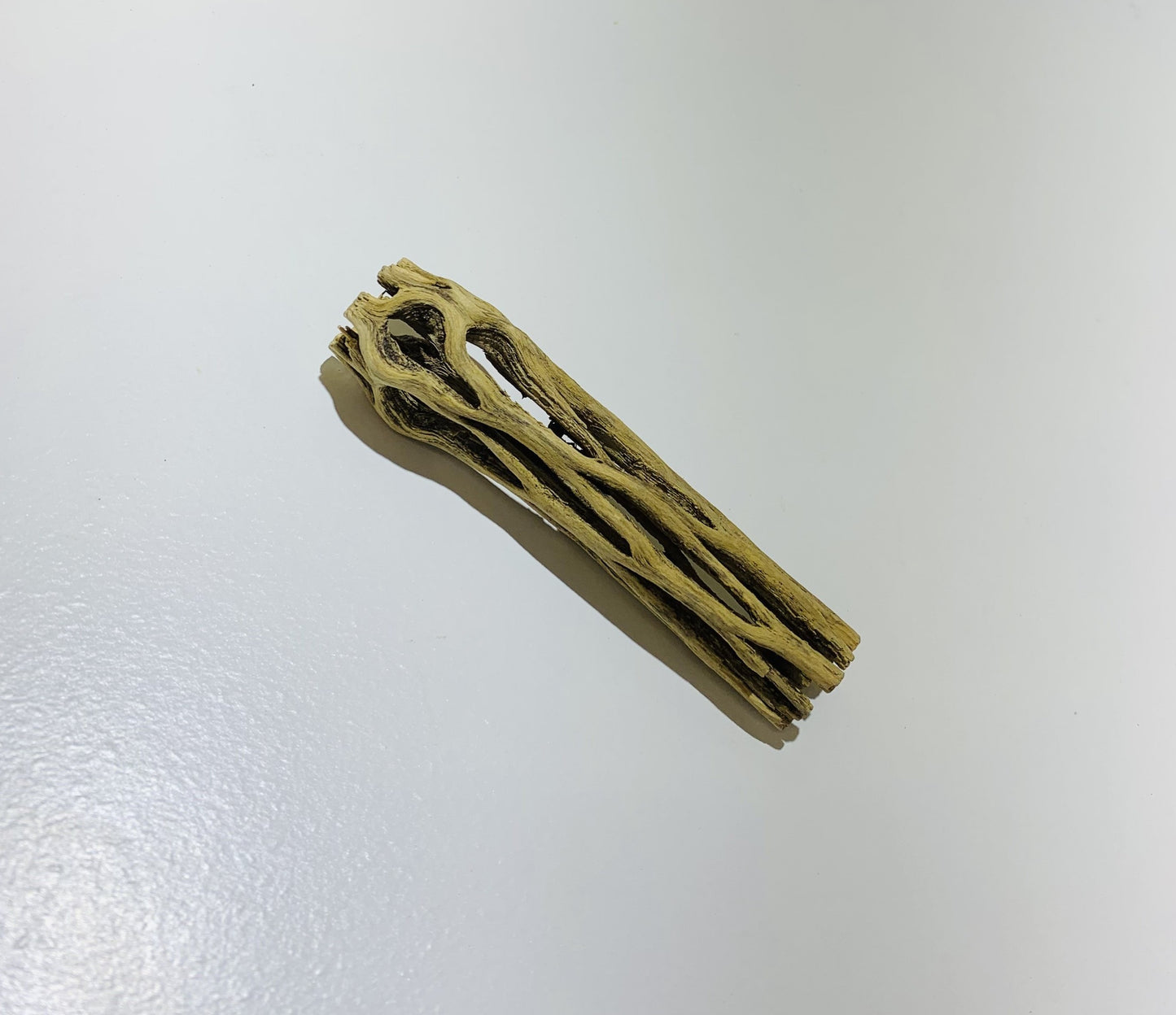 Cholla Wood Driftwood
