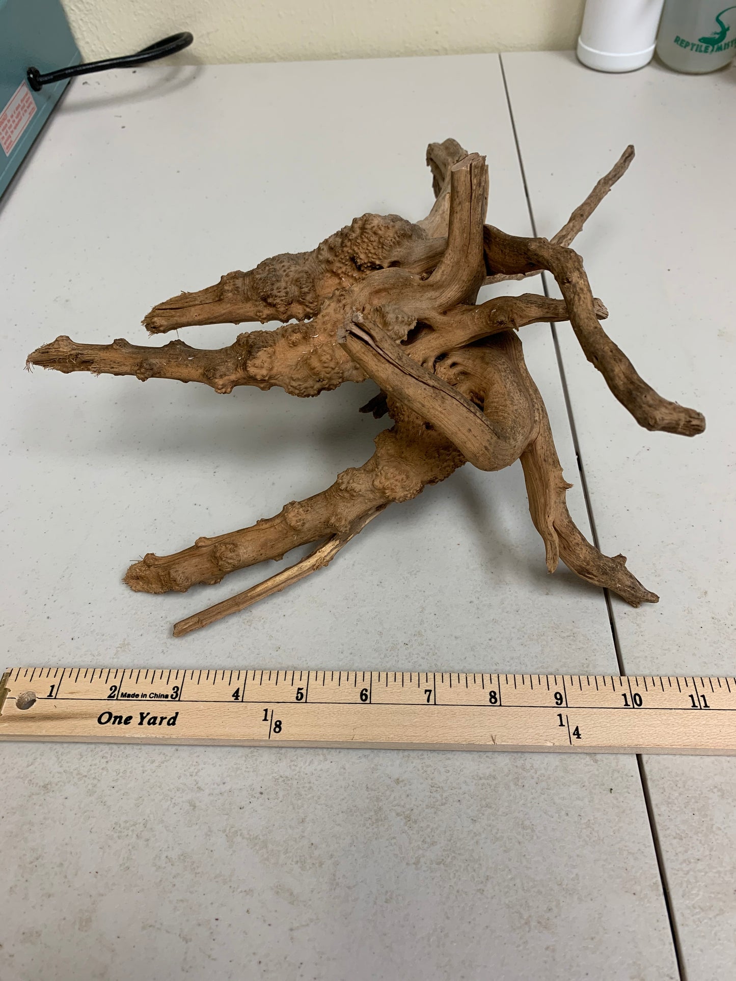 spiderwood driftwood