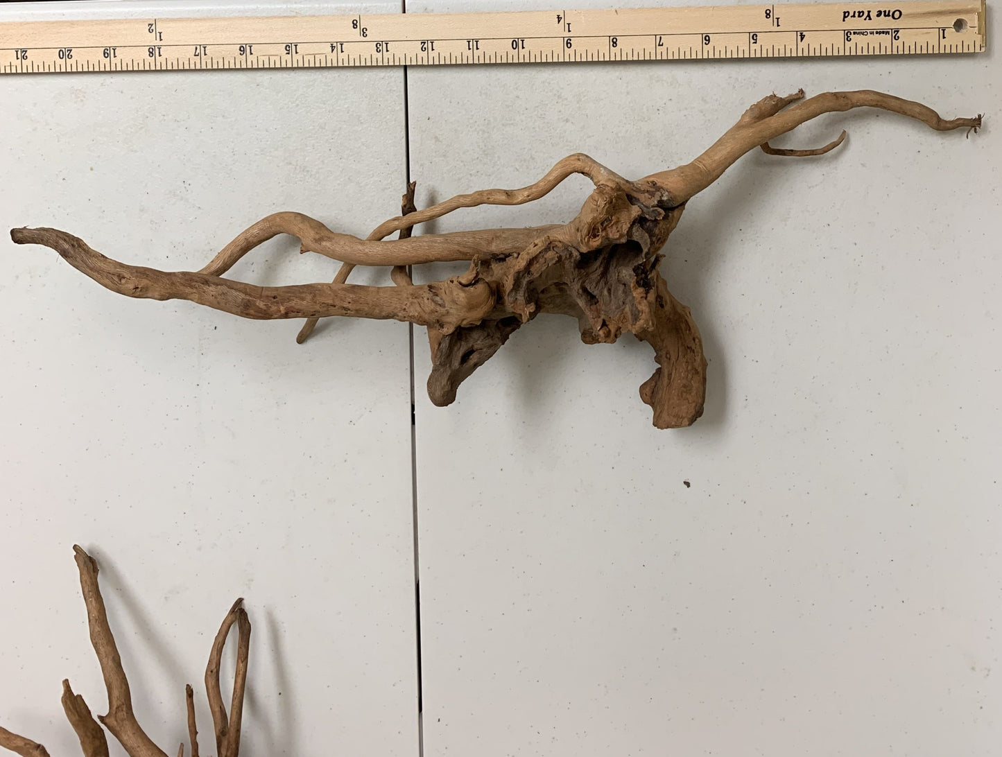 aquarium driftwood