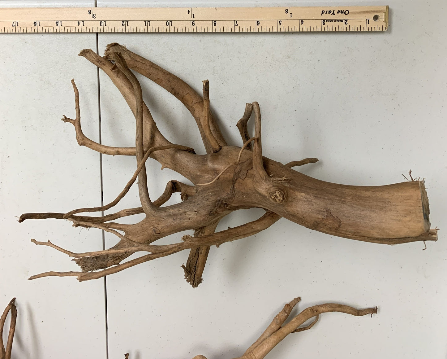 spiderwood driftwood