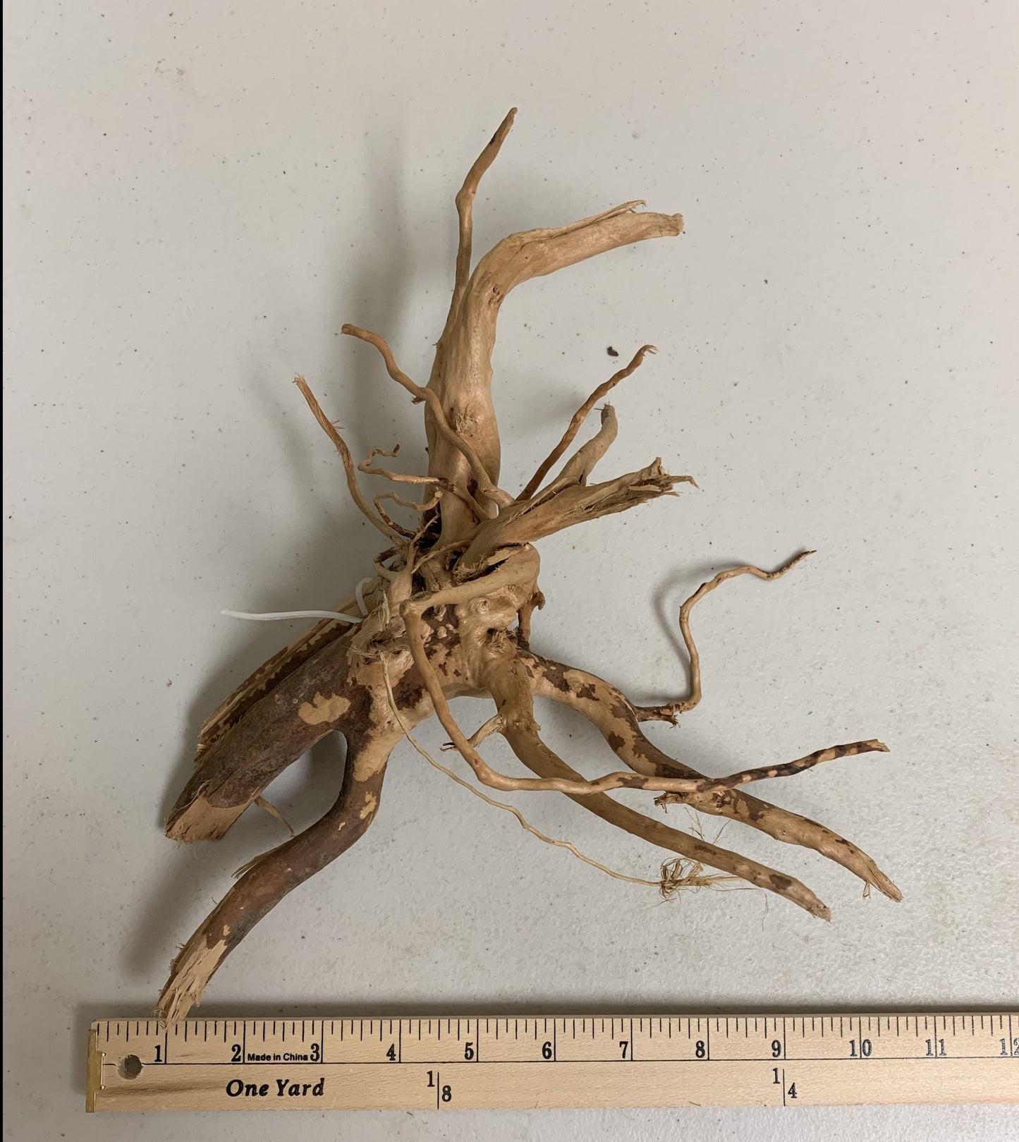 Aquarium Driftwood Spider wood