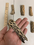 Cholla Wood Driftwood Stick