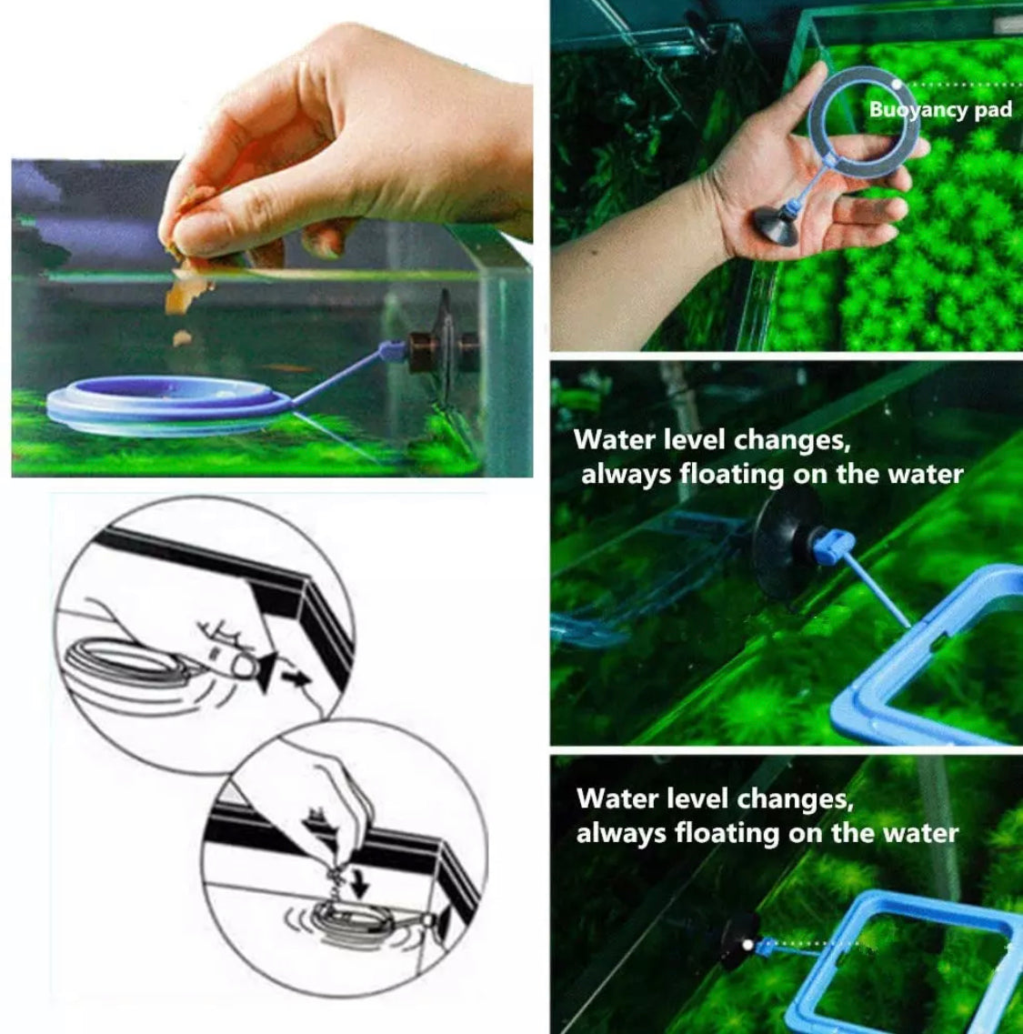 Floating Fish Feeding Ring with Suction Cup (Square) – MarcusFishTanks