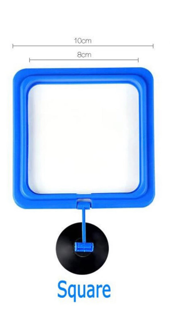 floating aquarium fish food ring