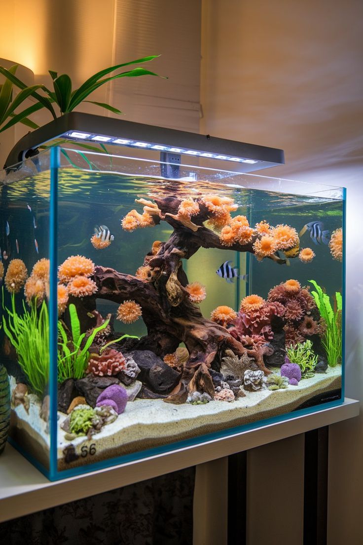 DIY Aquarium Driftwood: Preparing and Using It Safely