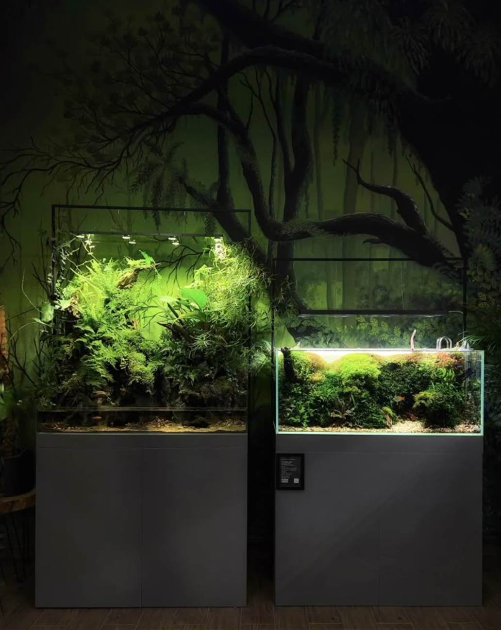 7 Mistakes That Kill Aquarium Plants (And How to Avoid Them)
