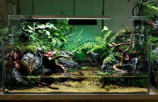 How Hard Water Affects Plant Growth (and What to Do About It)