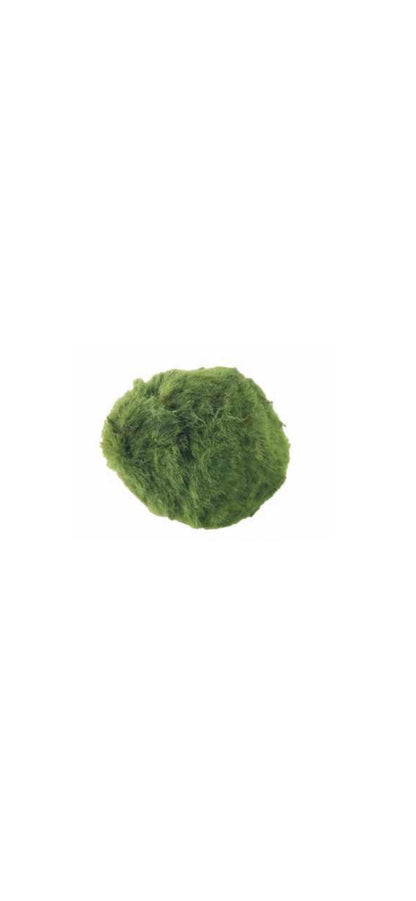 Marimo Moss ball