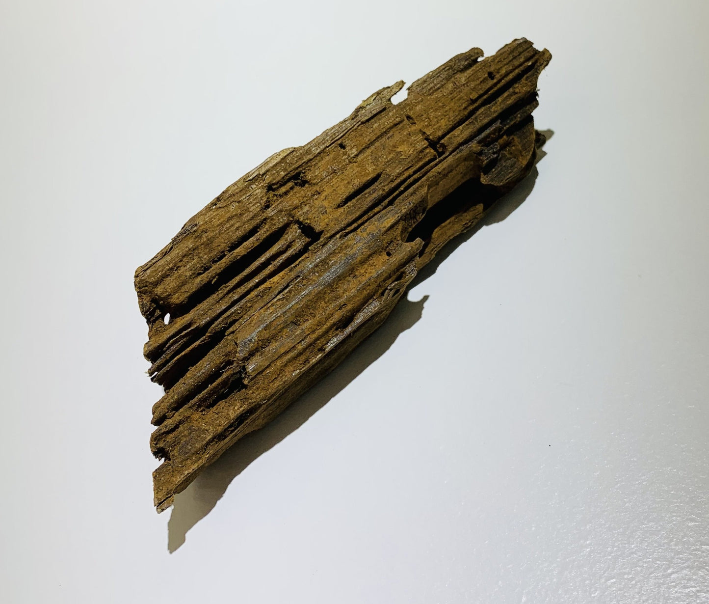 malaysian driftwood for aquarium