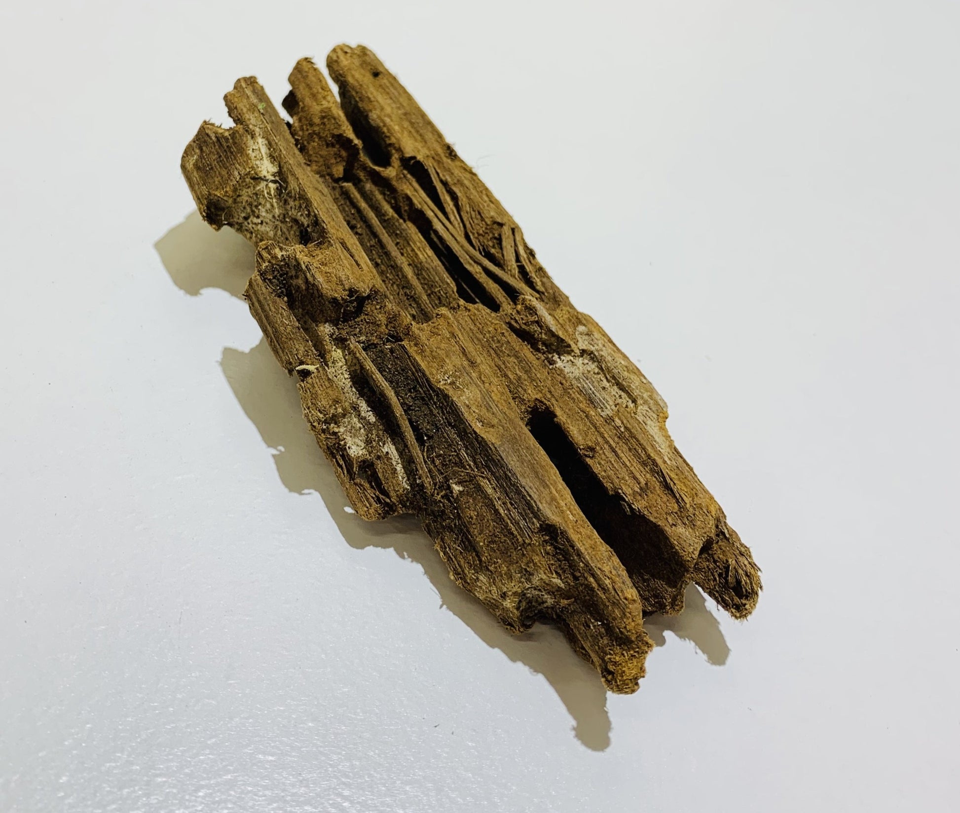 malaysian fish tank driftwood