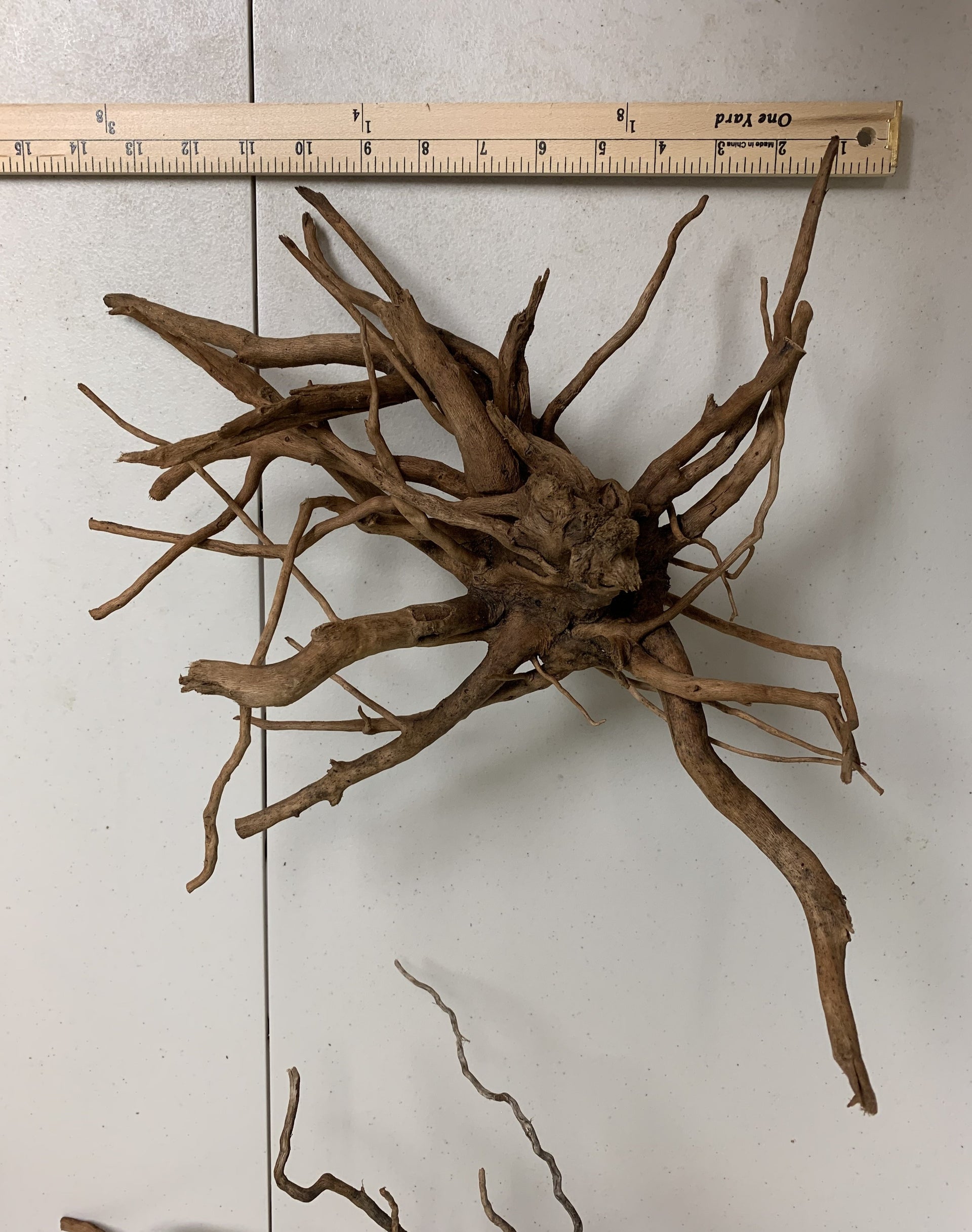 spider wood plant Spider Wood Driftwood – MarcusFishTanks