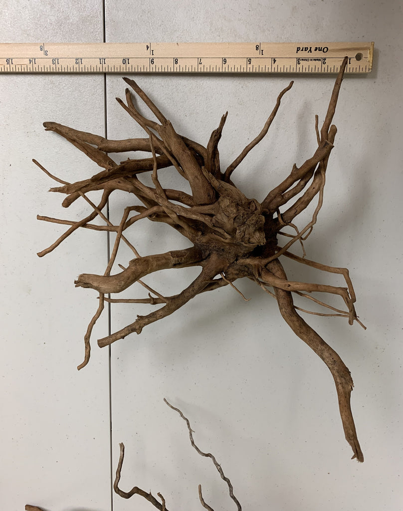 Spider Wood Driftwood – MarcusFishTanks