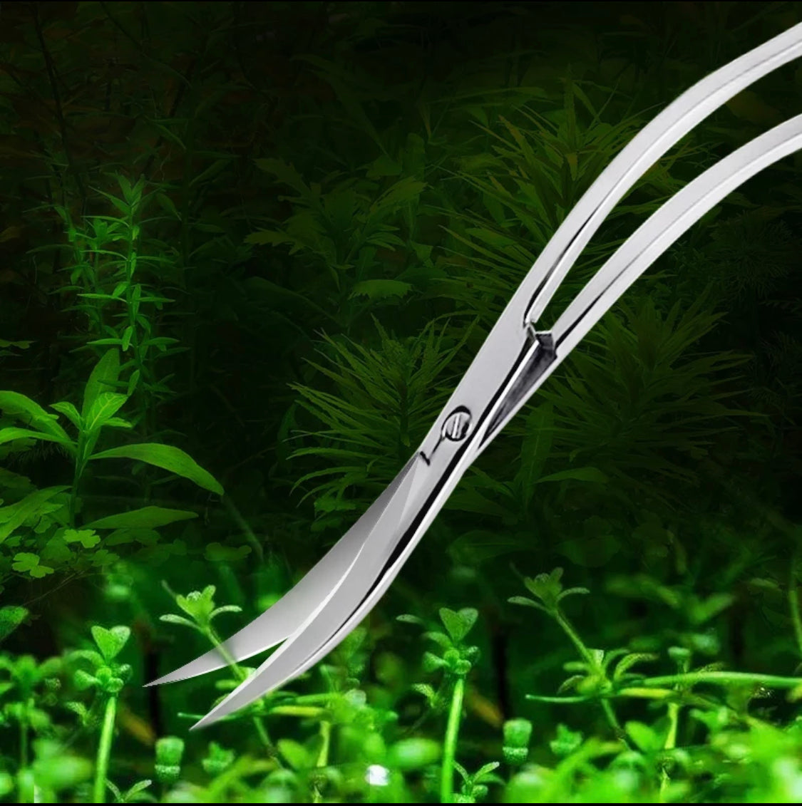 Curved Aquarium Plant Scissors