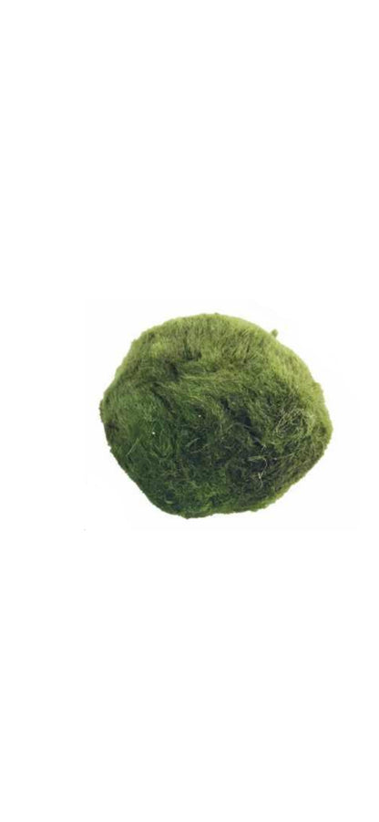 Marimo Moss Ball Large