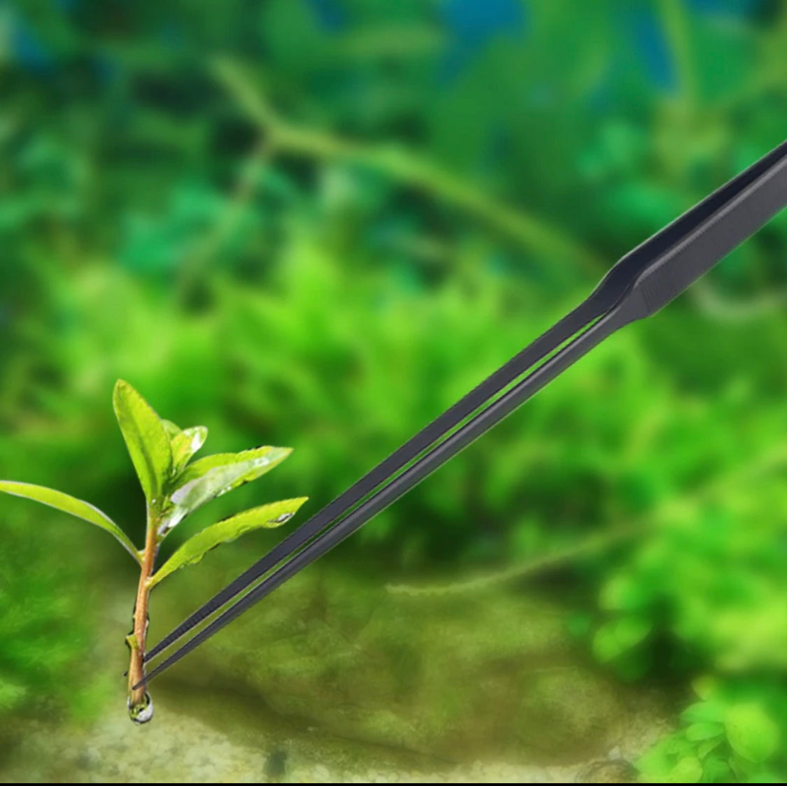 Straight Aquarium Plant Tweezers